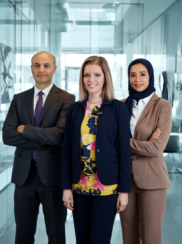 purannova properties team